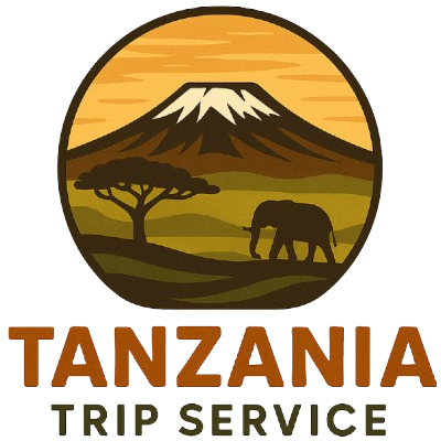 Tanzania Trip Service