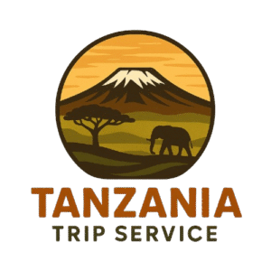 Tanzania Trip Service