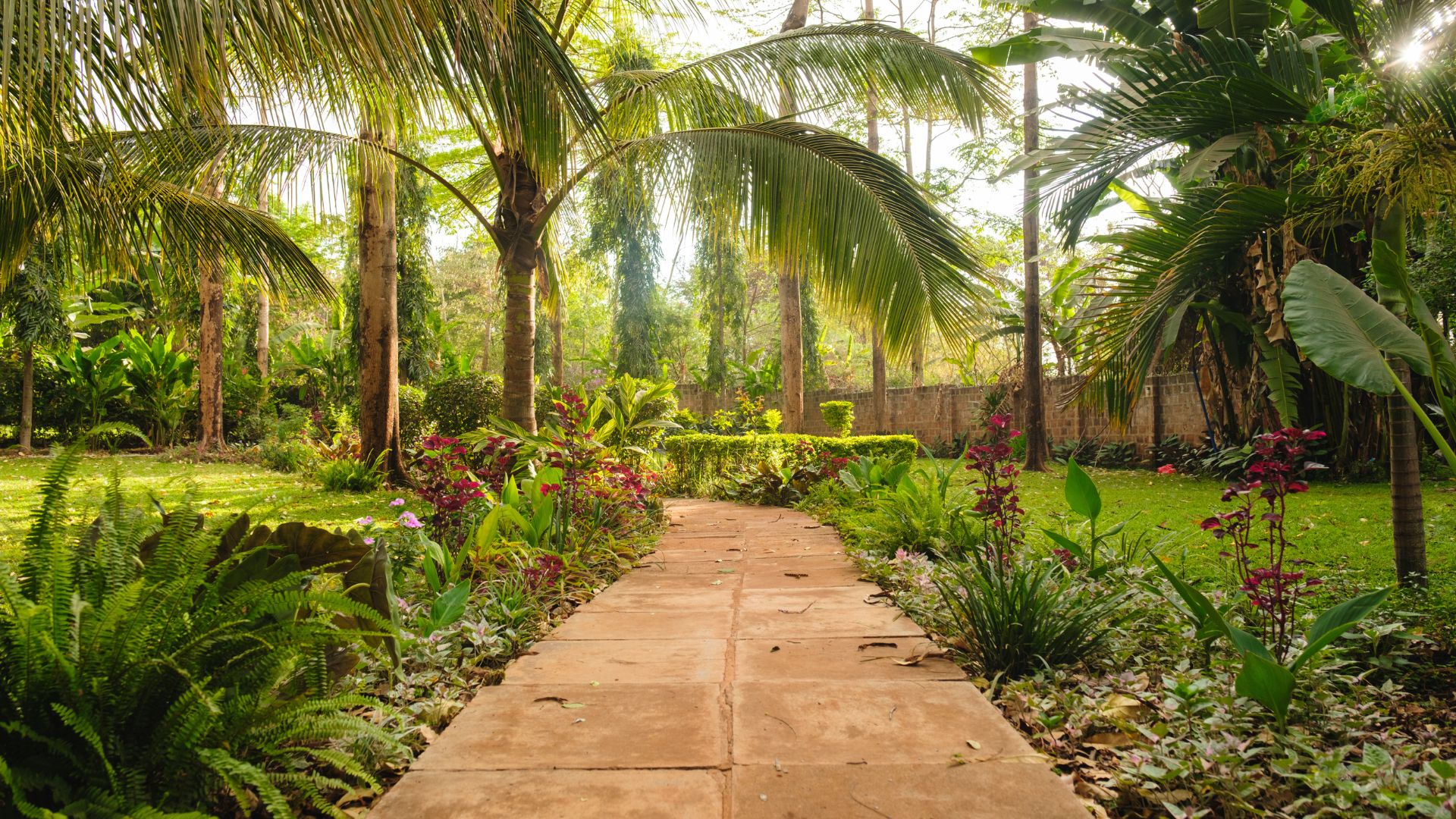 Chanya Lodge gardens