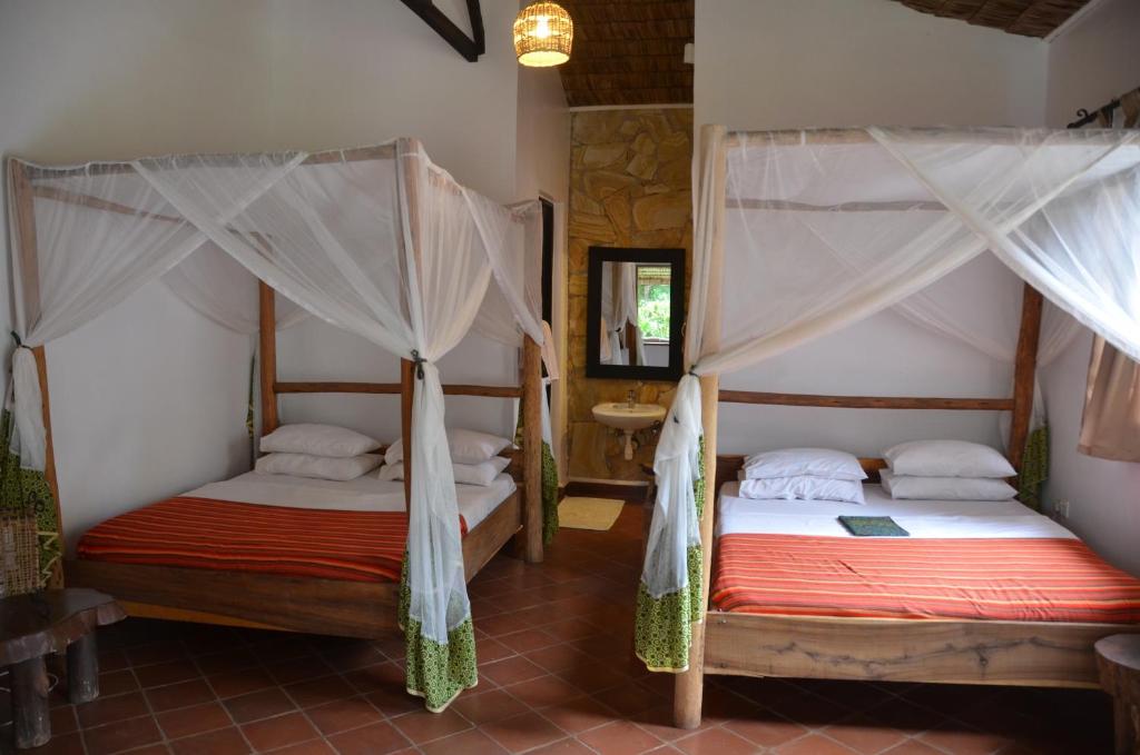 Honey Badger Lodge interior
