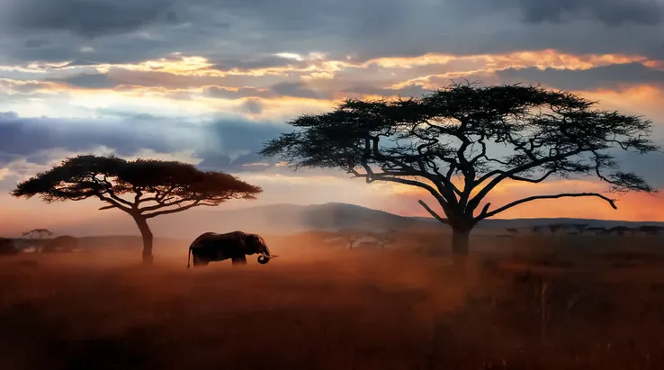 Tanzania wildlife safari tours in Serengeti, Ngorongoro, Tarangire – Tanzania safari