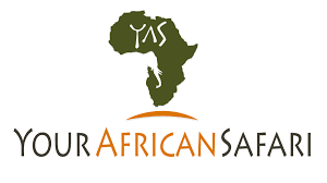 Your African Safari