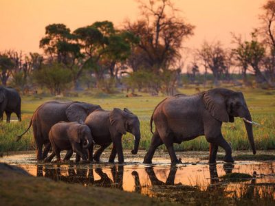 Unforgettable Tanzania Safari Adventures with Expert Local Guides Unforgettable Tanzania Safari Adventures with Expert Local Guides