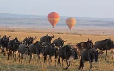 5 day tanzania safari